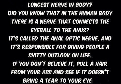1374822_492273347568127_6806156900283448642_n