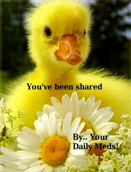 1797465_472459626215290_8625741147476355084_n1